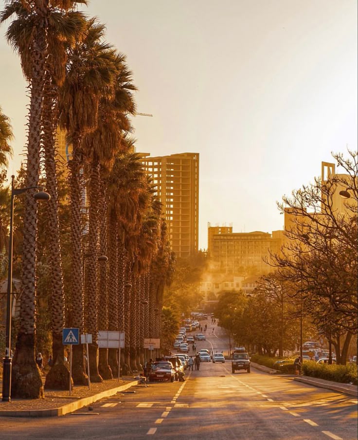 Kangaroo Residential Complex Master Plan